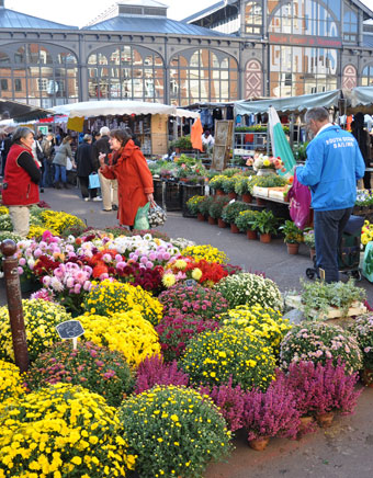 Cosmopolitan Wazemmes Market in Lille