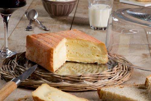 Maroilles Cheese -  Northern France