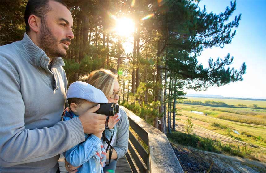 Parc du Marquenterre is a birdwatching reserve near Hotel le Cap Hornu in Northern France