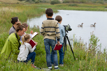 Parc du Marquenterre reserve Somme Bay Northern France