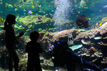 Nausicaa Boulogne sur mer - French Weekend Breaks