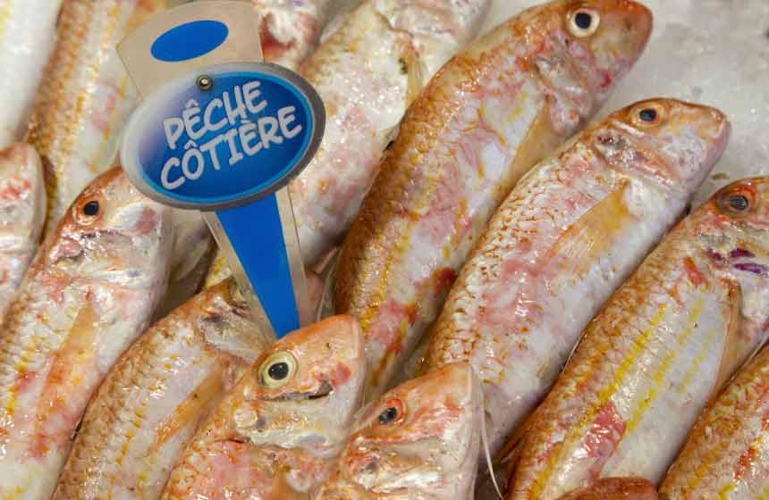 You won’t get fresher than Boulogne-sur-Mer’s fish market ‒ daily and straight off the boat!