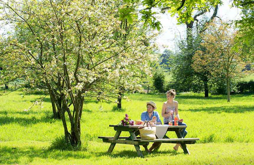 Breathe in nature in Le Clos du Miroir's lovely orchard - a proper rural retreat in Northern France