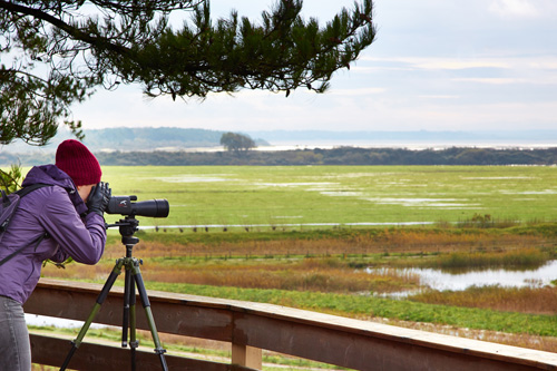 Marquenterre bird reserve - French Weekend Breaks