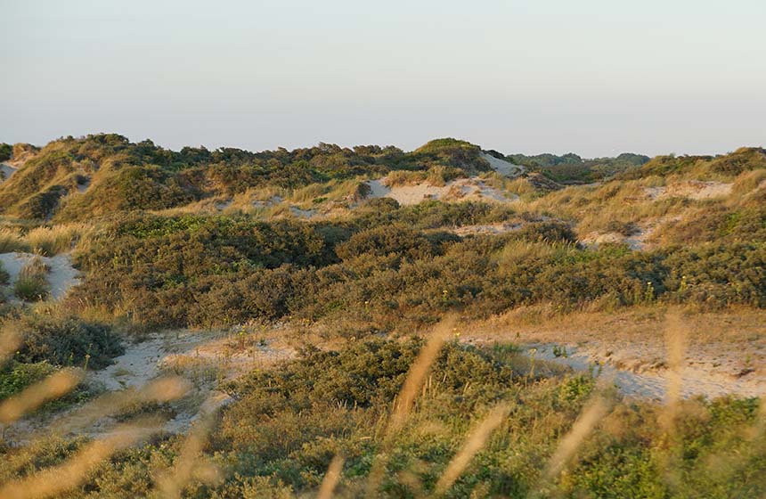 You’ll enjoy incredible seascapes at ‘Dunes de Flandre’ – a coastal area protected for its natural richness