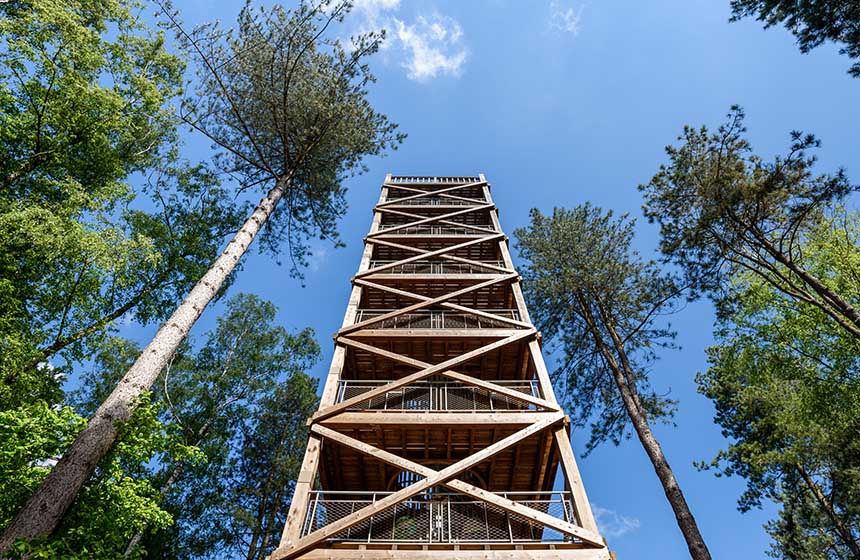 The Mangin Tower, a WW1 observation post at the heart of the forest, is a most unexpected sight near Manoir de la Cour. Climb to the top!
