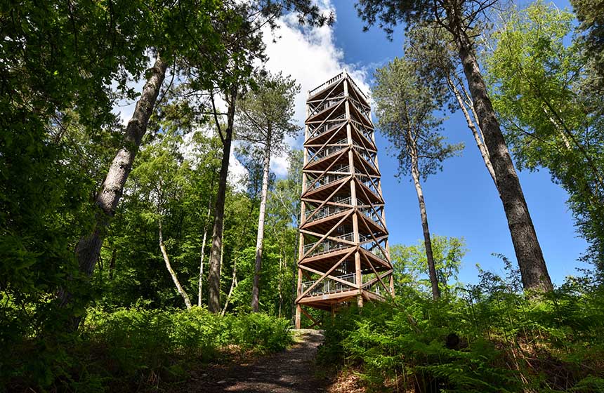 The Mangin Tower, a WW1 observation post at the heart of the forest, is a most unexpected sight near Manoir de la Cour. Climb to the top!