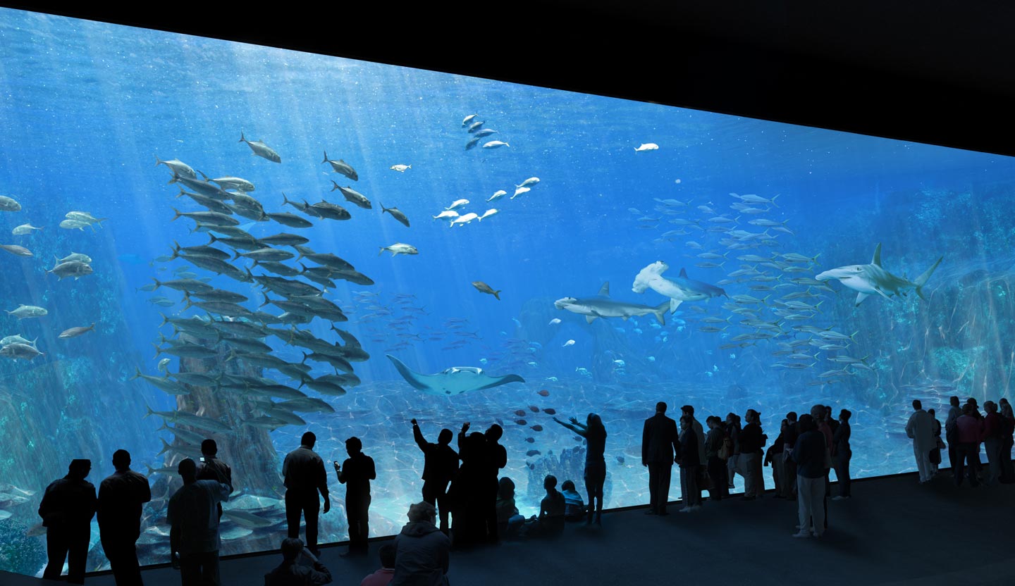 Nausicaa, Europe’s largest aquarium, reopens in even bigger and better form on 19 May.