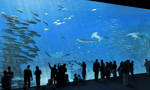 Nausicaa, Europe’s largest aquarium, reopens in even bigger and better form on 19 May 2018 - Visit France