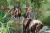 Horseriding at the Domaine du Lieu Dieu in Beauchamps