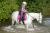 Horseriding at Domaine du Lieu Dieu in northern France’s Hauts de France region