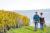 Balade en amoureux dans les vignobles du sud de l'Aisne