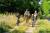 Head off on a family forest adventure - there's bike hire on site at Cabanes de La Réserve 