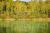 Your chance to immerse yourselves in nature is at Cabanes de La Réserve