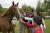 Children will adore the opportunity to meet the horses at Domaine du Lieu Dieu 