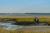 A walk in the marshlands of the Authie Bay protected nature area