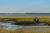A walk in the marshlands of the Authie Bay protected nature area