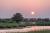 The Baie de Somme's little train going across the salt marshes