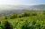 The Champagne route boasts the most beautiful village-and-vineyard views