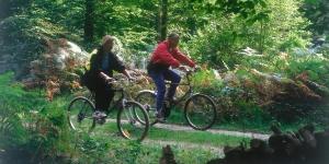 Bike riding in Compiègne Forest