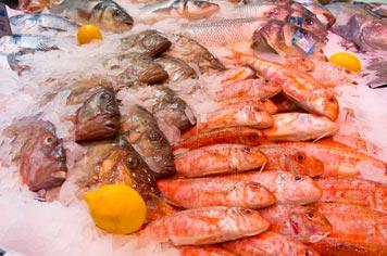 Boulogne-sur-mer market - French Weekend Breaks