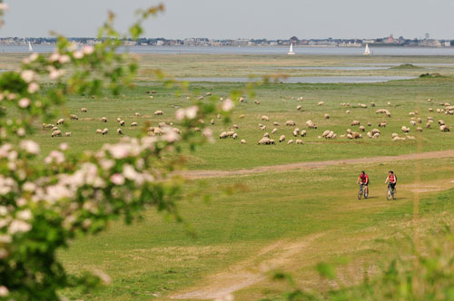 Cycling in the Somme Bay