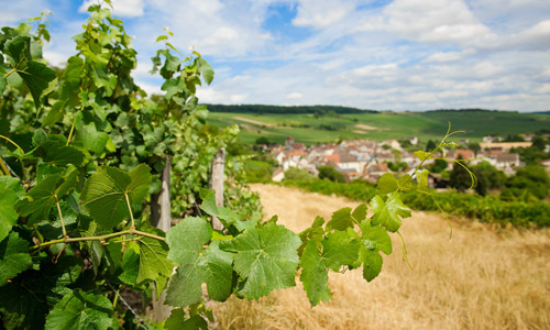 The Champagne Trail - Visit France