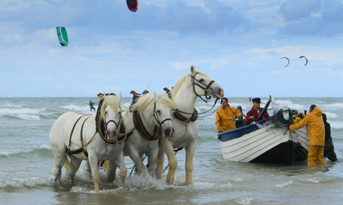 The Fête du Flobart with your family in Wissant - visit France